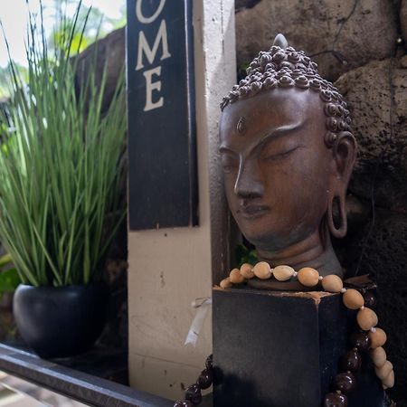 Unit 18 Maui Ohana Modern Studio Wailuku Bagian luar foto