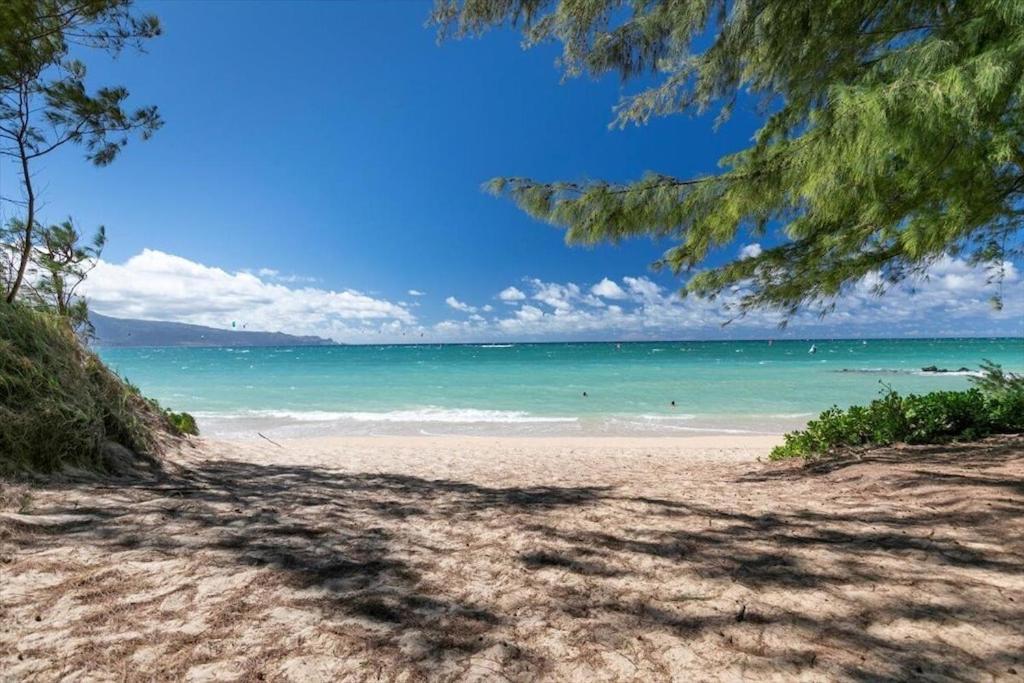 Unit 18 Maui Ohana Modern Studio Wailuku Bagian luar foto