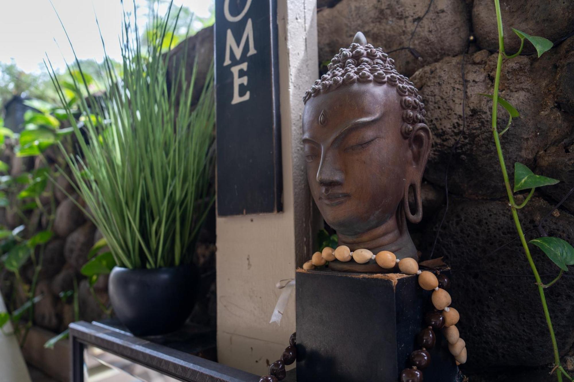 Unit 18 Maui Ohana Modern Studio Wailuku Bagian luar foto